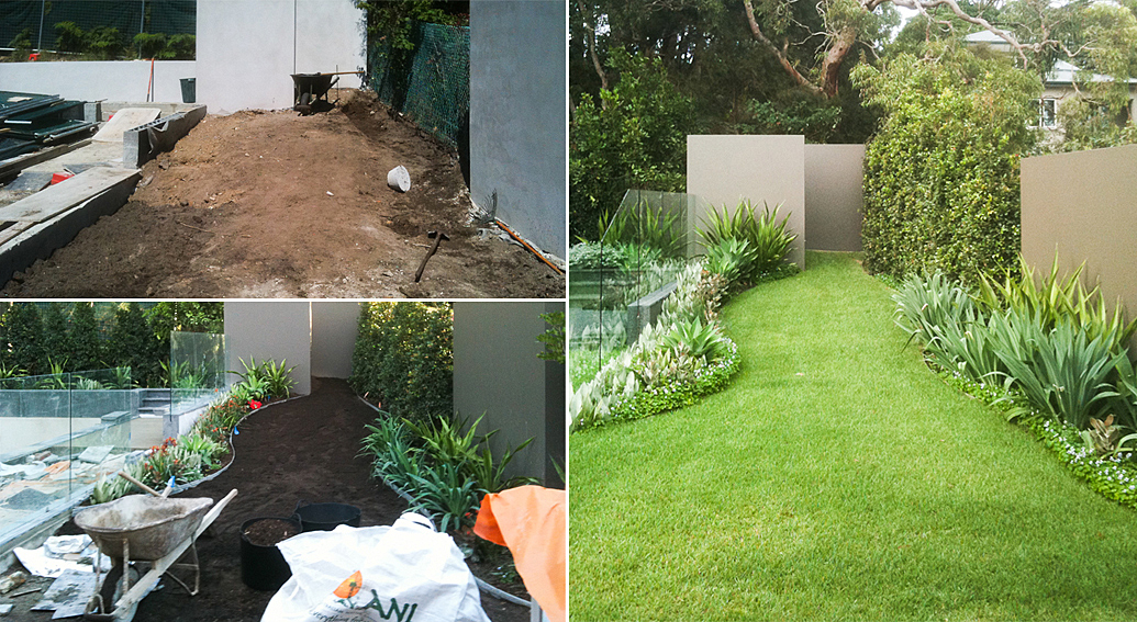 softscape_planting_2