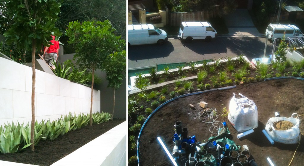 front_garden_1-1024×560