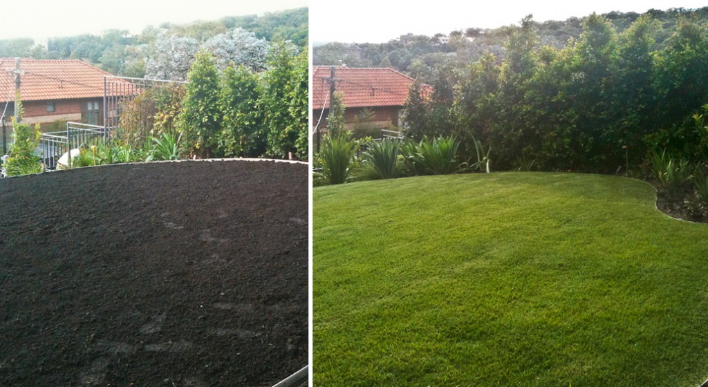 front_garden_2-1024×560